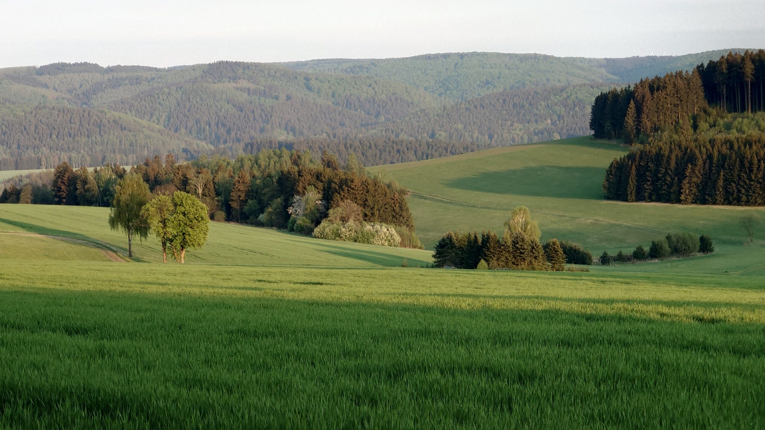 kreuztanne-erzgebirge-umgebung-1-retreats-yogaleicht-de Yogaretreat Erzgebirge – Waldhotel Kreuztanne in Sayda direkt am Wald