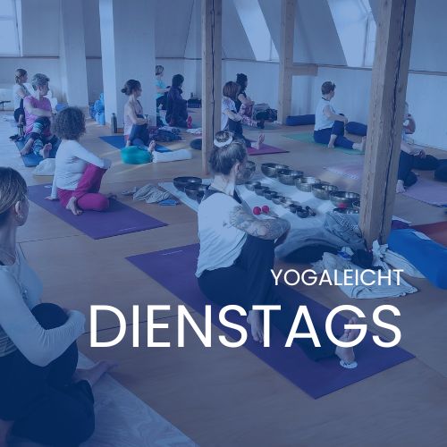 Yoga dienstags im Canaletto Studio Dresden